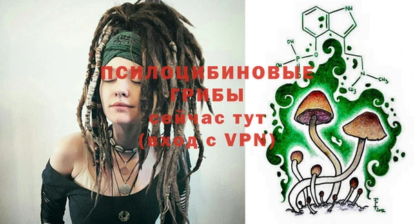 альфа пвп Горно-Алтайск