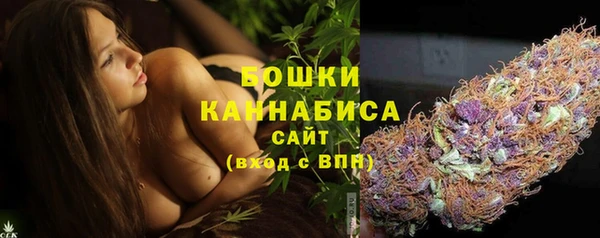 альфа пвп Горно-Алтайск