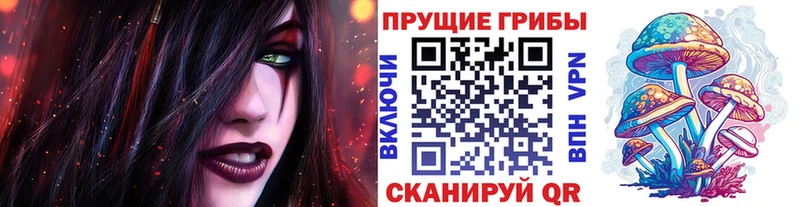Галлюциногенные грибы Psilocybe МЕГА ССЫЛКА Нытва
